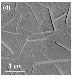 image-20230629101709820