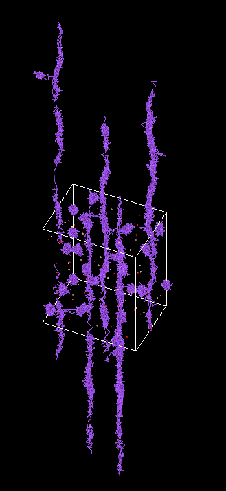 image-20250121214124415